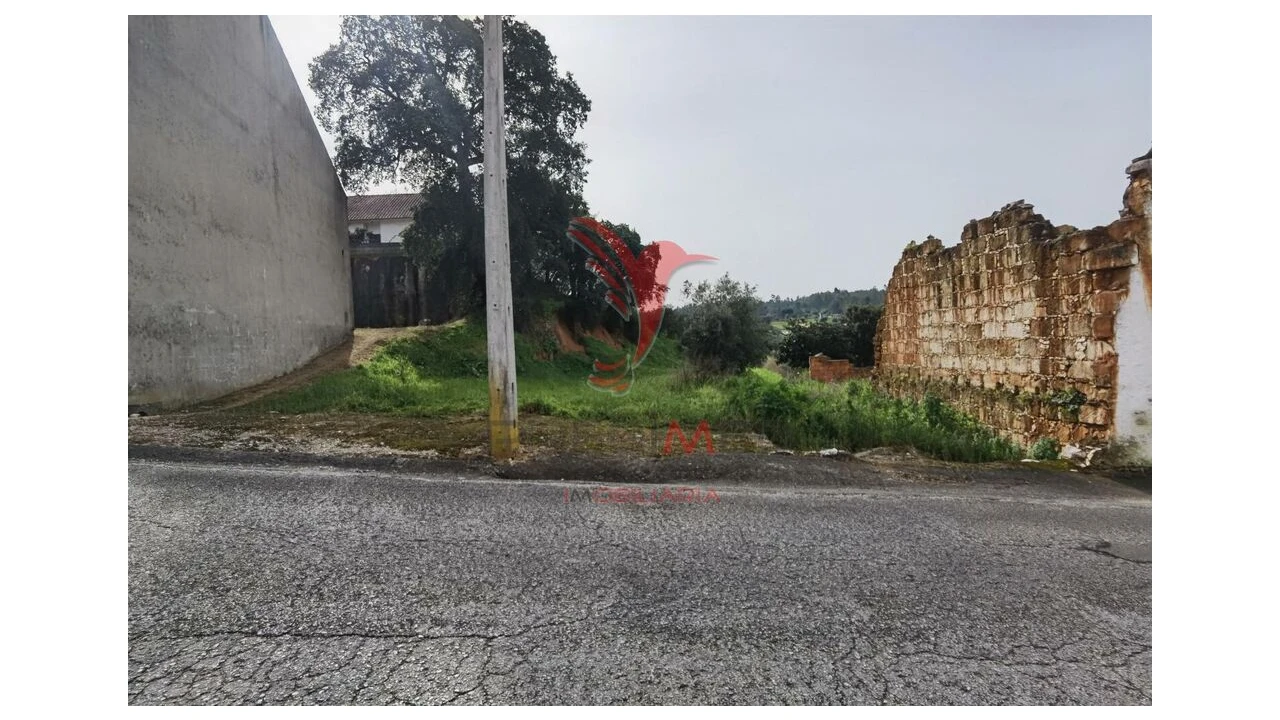 Terreno para Venda em Alcanena e Vila Moreira Foto 1
