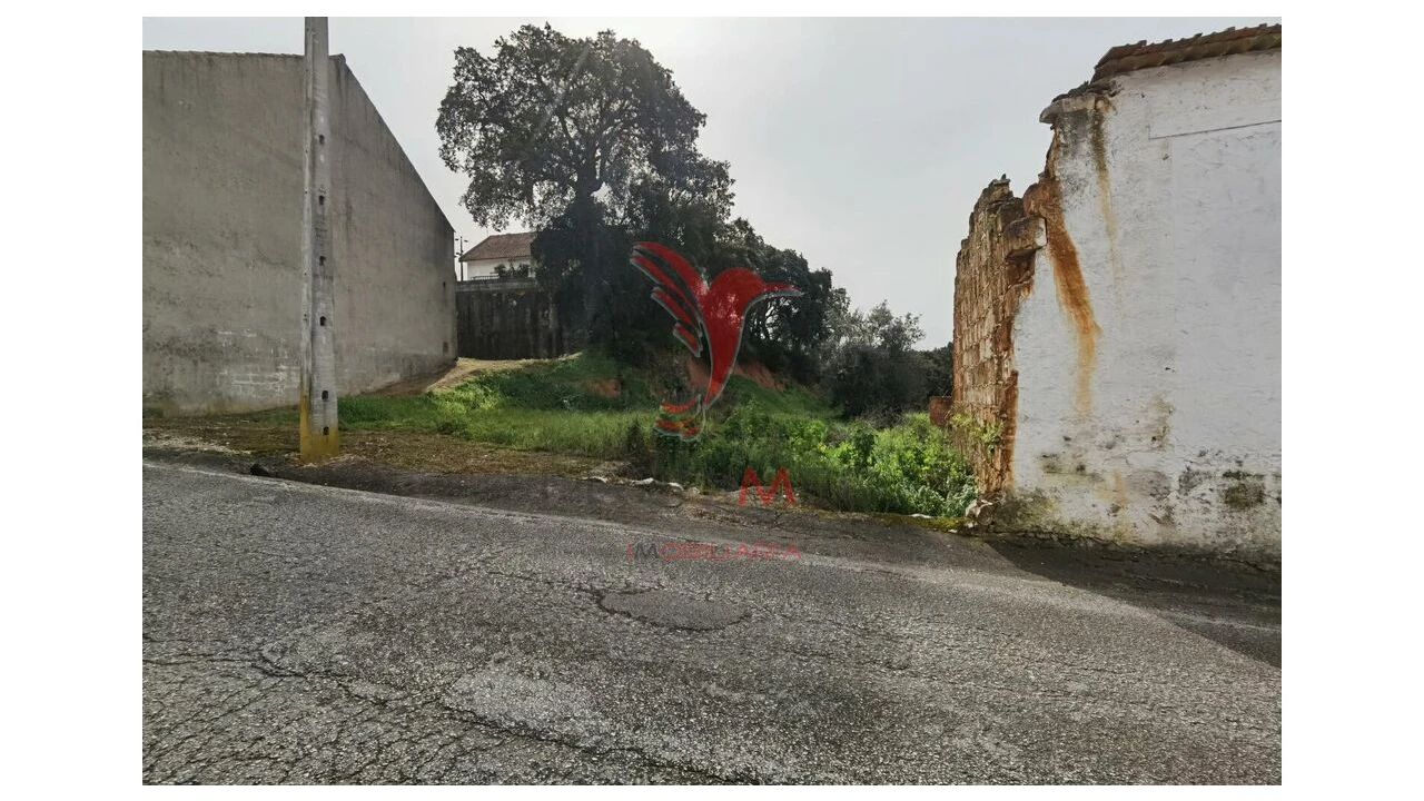 Terreno para Venda em Alcanena e Vila Moreira Foto 5