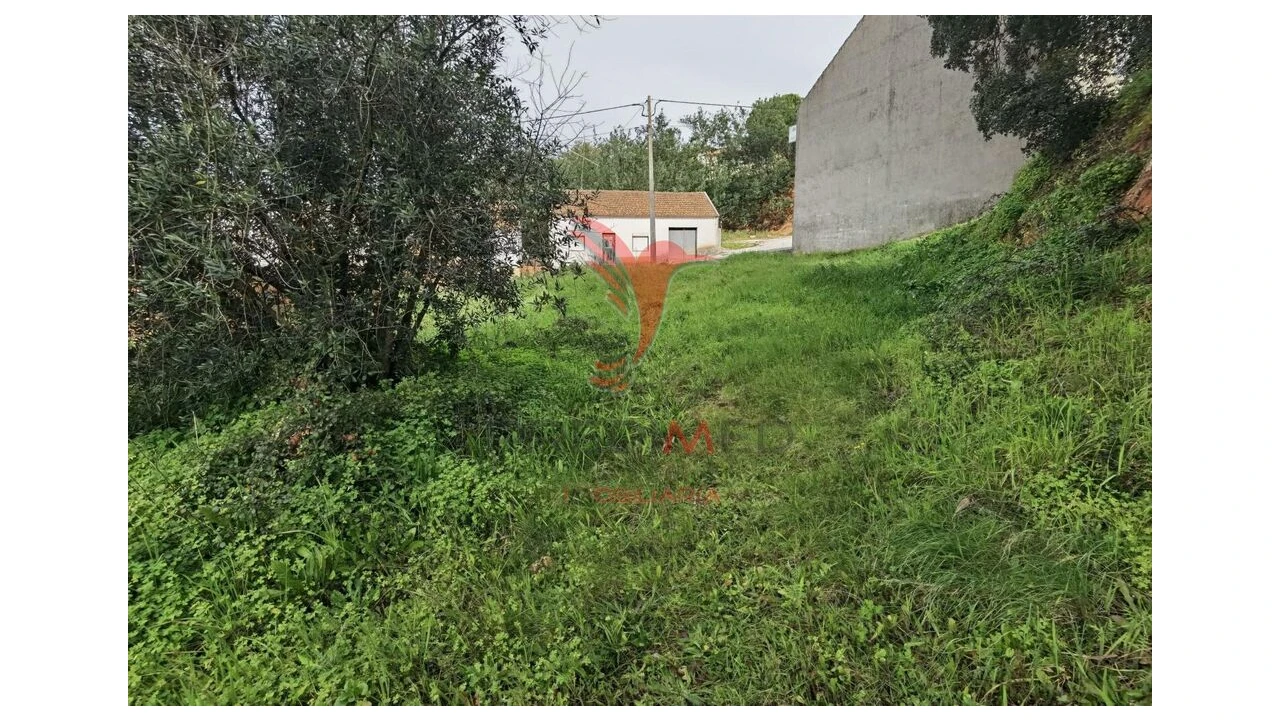 Terreno para Venda em Alcanena e Vila Moreira Foto 15