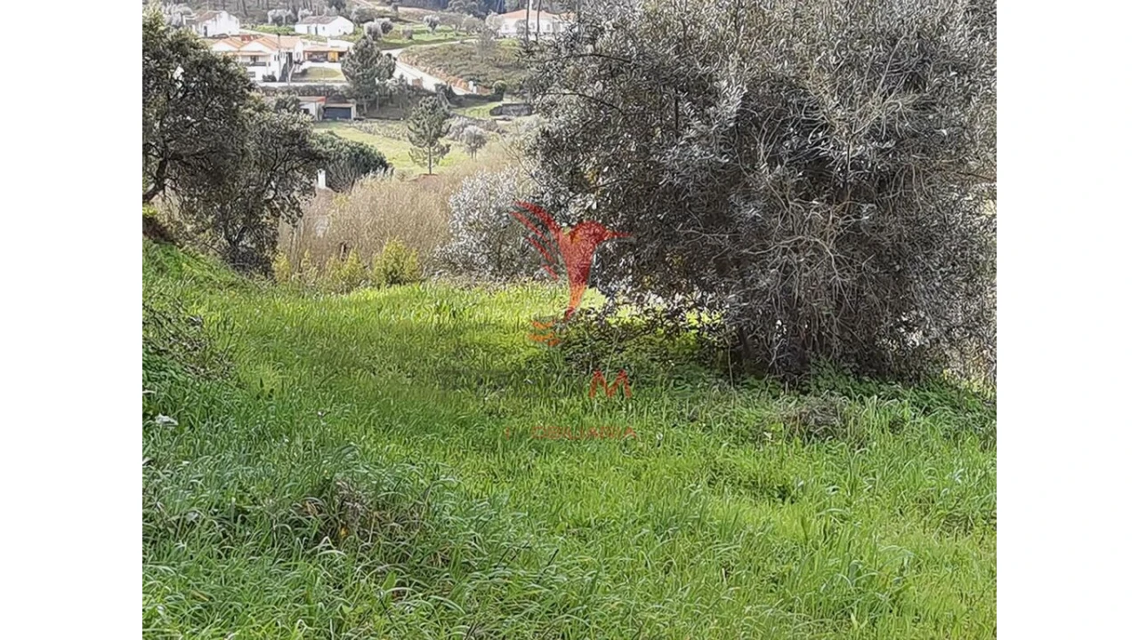Terreno para Venda em Alcanena e Vila Moreira Foto 20