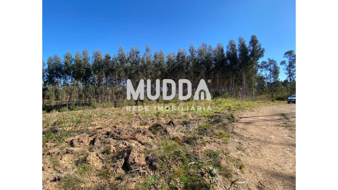 Terreno para Venda em Albergaria-A-Velha e Valmaior Foto 10