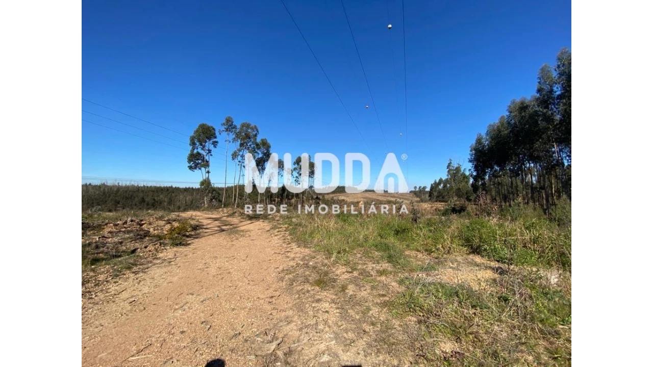 Terreno para Venda em Albergaria-A-Velha e Valmaior Foto 9