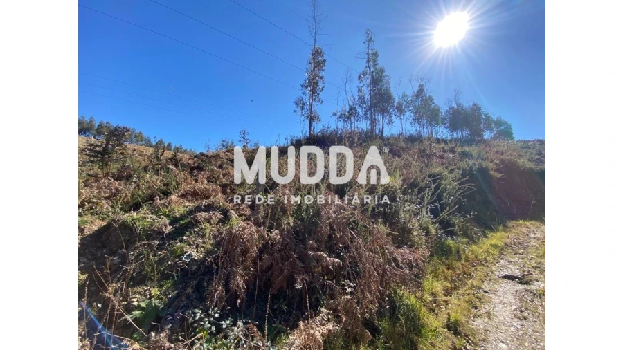 Terreno para Venda em Albergaria-A-Velha e Valmaior Foto 6