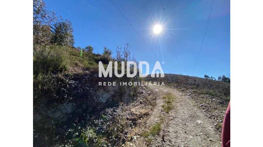 Terreno para Venda em Albergaria-A-Velha e Valmaior Foto 5