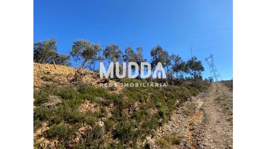 Terreno para Venda em Albergaria-A-Velha e Valmaior Foto 7