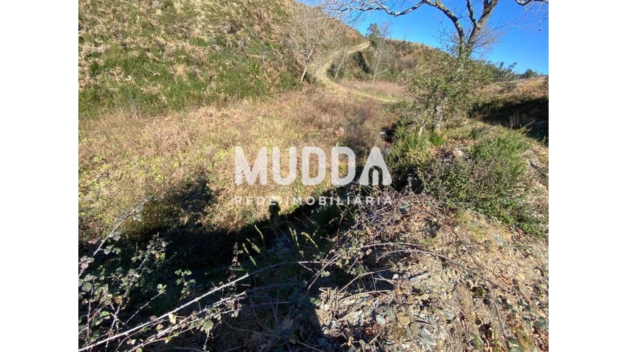 Terreno para Venda em Albergaria-A-Velha e Valmaior Foto 4