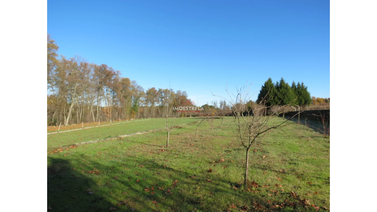 Quinta T8 para Venda em Moimenta da Serra e Vinhó Foto 13