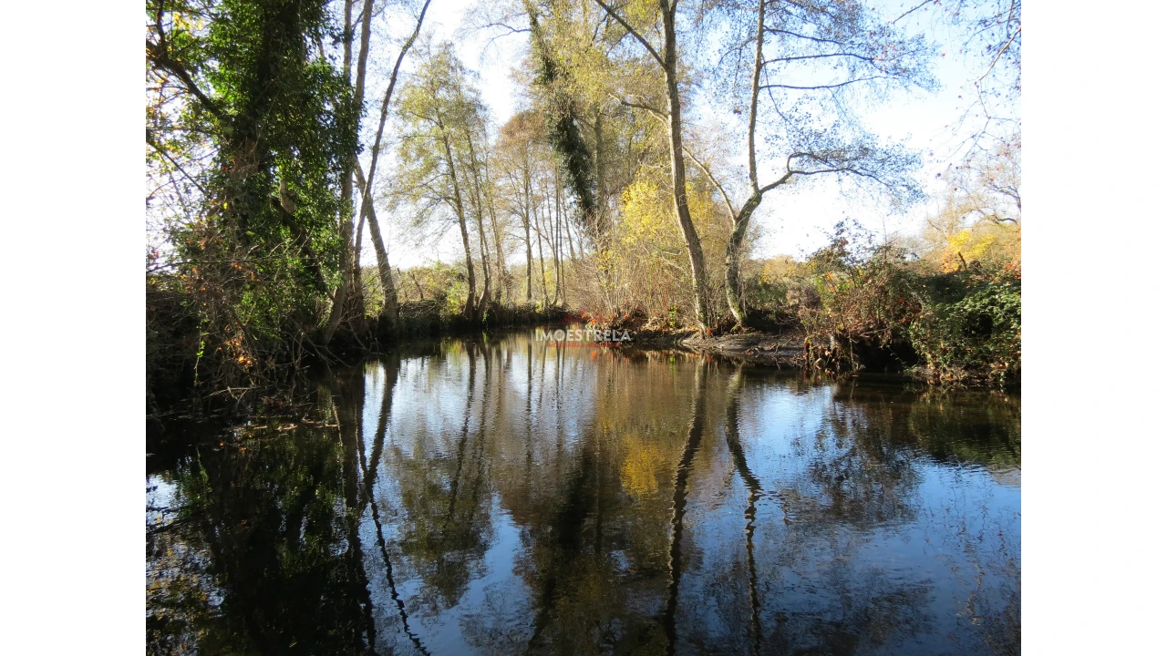 Quinta T8 para Venda em Moimenta da Serra e Vinhó Foto 21