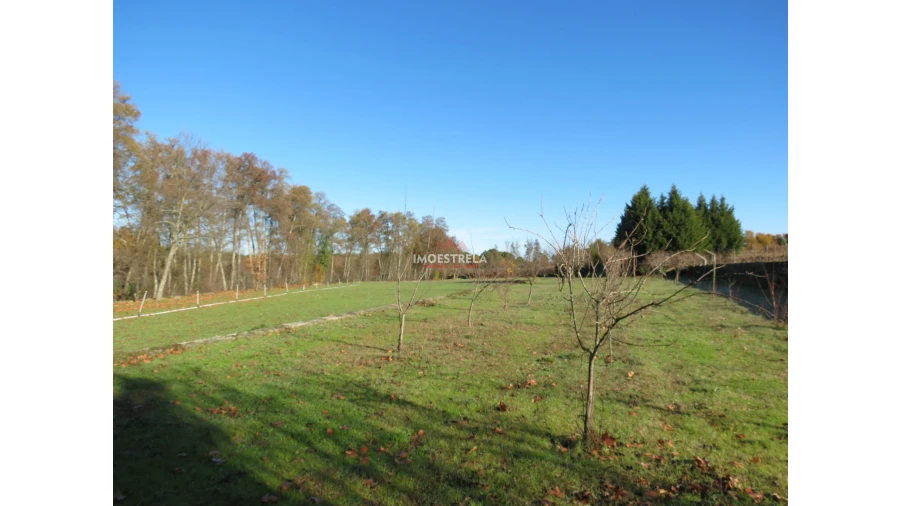 Quinta T8 para Venda em Moimenta da Serra e Vinhó Foto 13