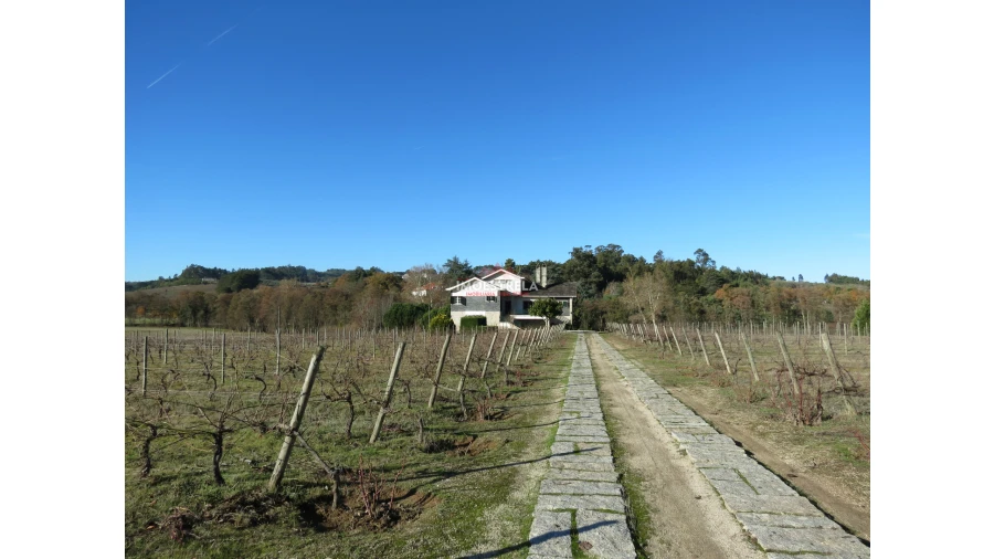 Quinta T8 para Venda em Moimenta da Serra e Vinhó Foto 24