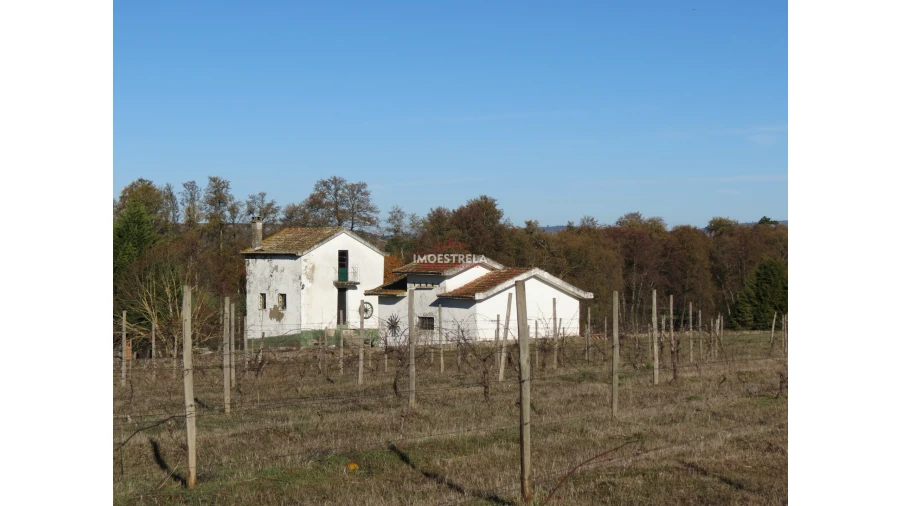 Quinta T8 para Venda em Moimenta da Serra e Vinhó Foto 23