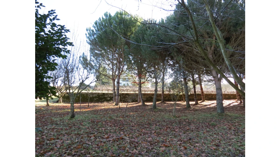 Quinta T8 para Venda em Moimenta da Serra e Vinhó Foto 17