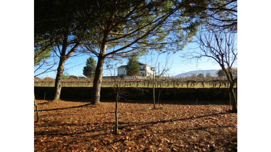 Quinta T8 para Venda em Moimenta da Serra e Vinhó Foto 22