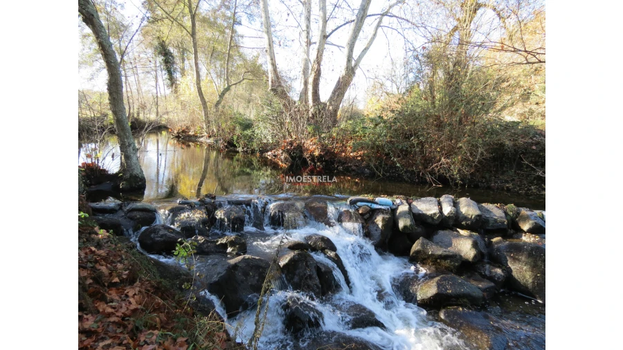 Quinta T8 para Venda em Moimenta da Serra e Vinhó Foto 19