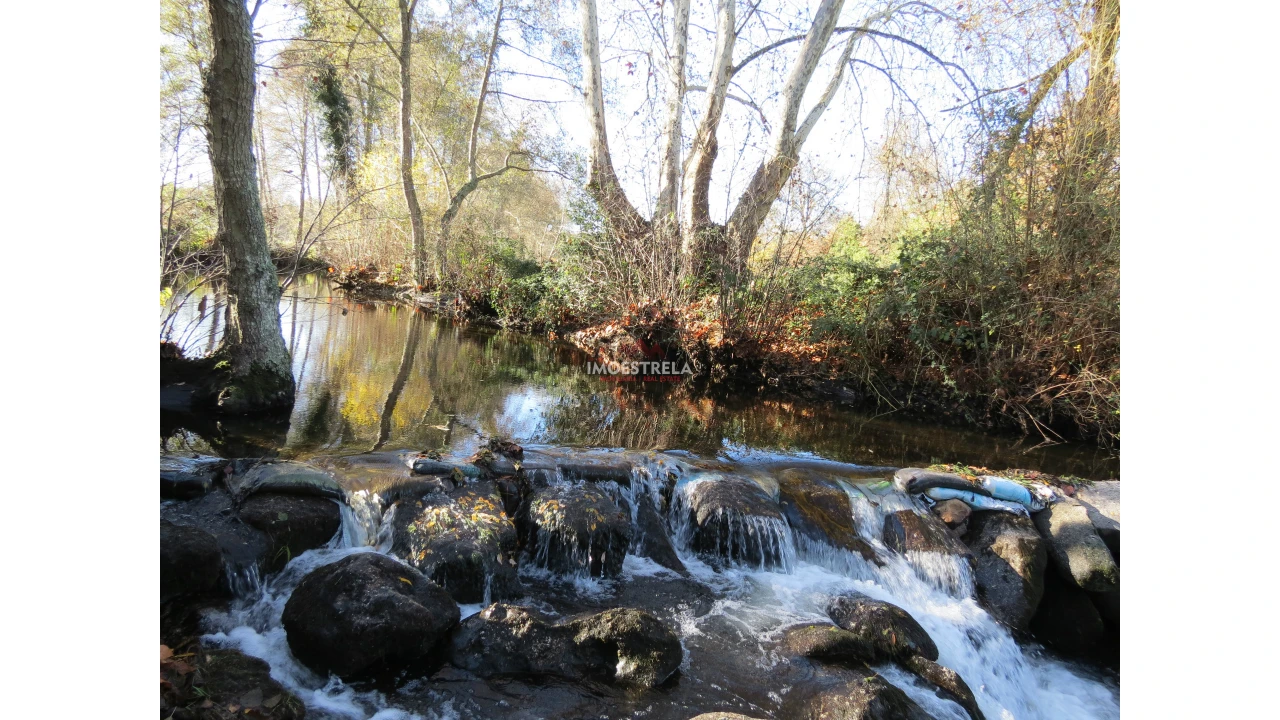Quinta T8 para Venda em Moimenta da Serra e Vinhó Foto 20