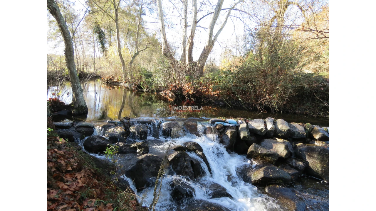 Quinta T8 para Venda em Moimenta da Serra e Vinhó Foto 19