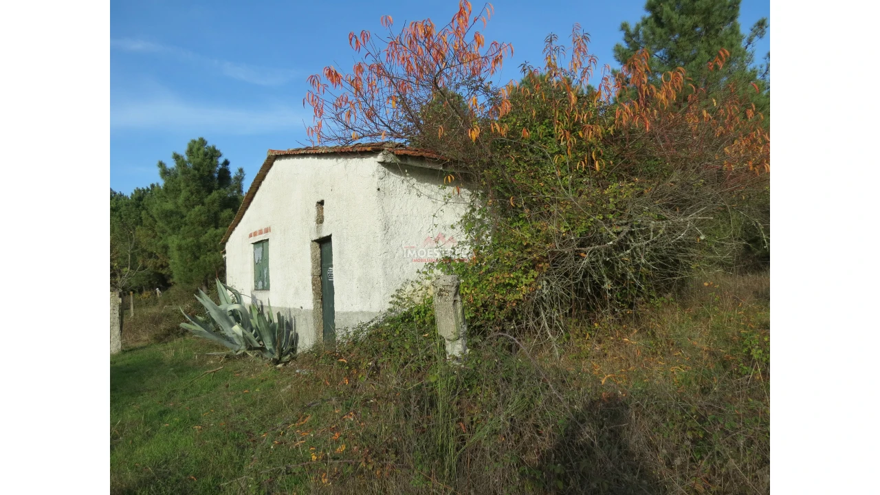 Quinta T0 para Venda em Pinhanços Foto 4