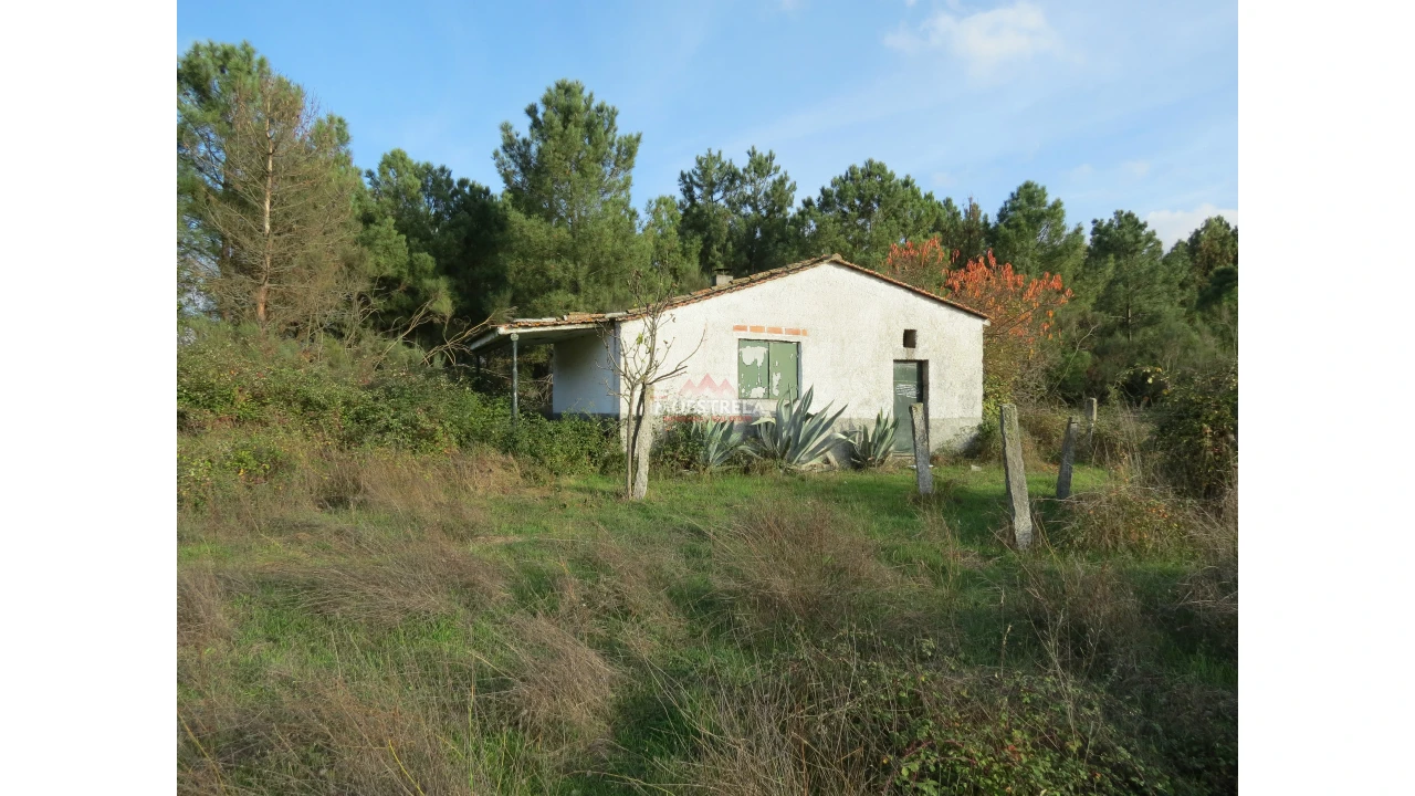 Quinta T0 para Venda em Pinhanços Foto 3