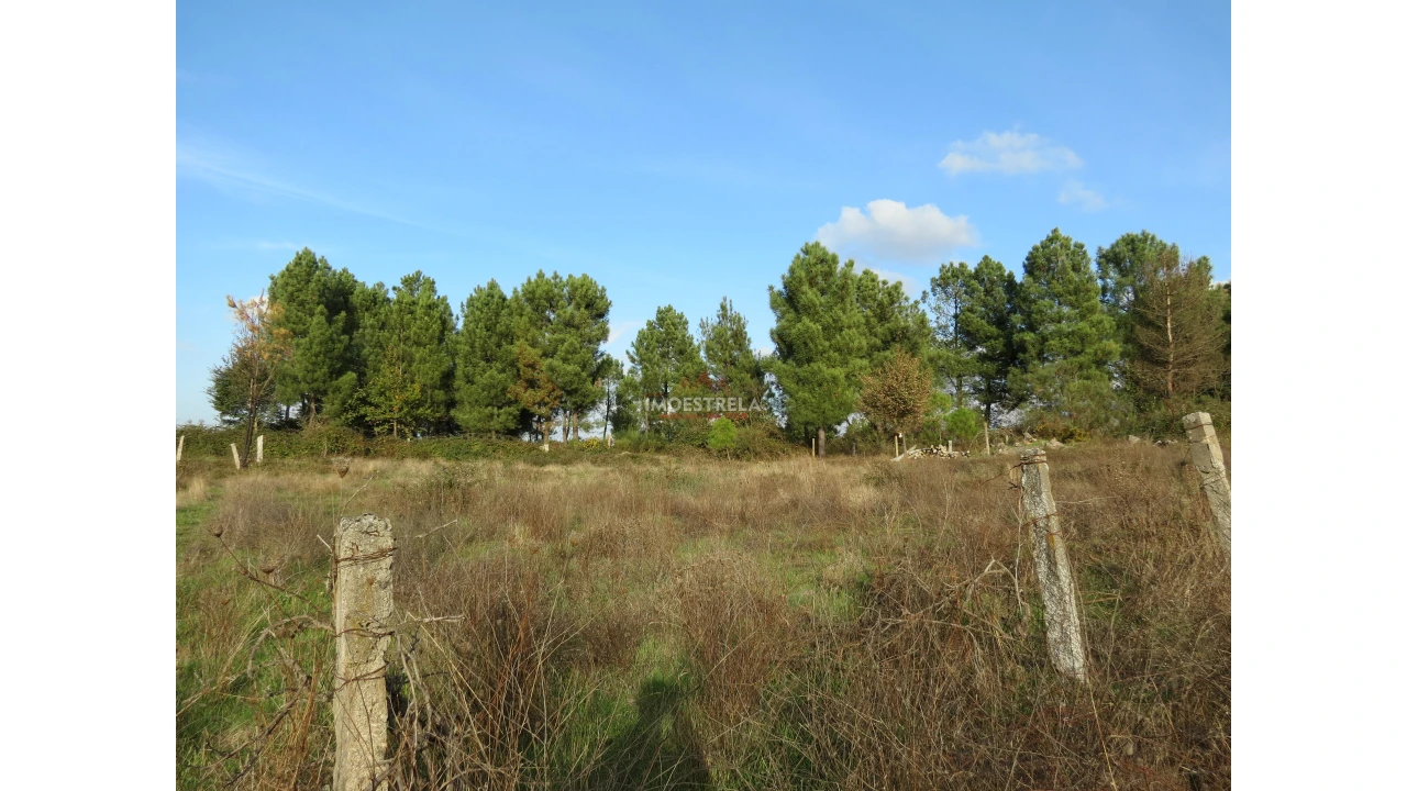 Quinta T0 para Venda em Pinhanços Foto 6