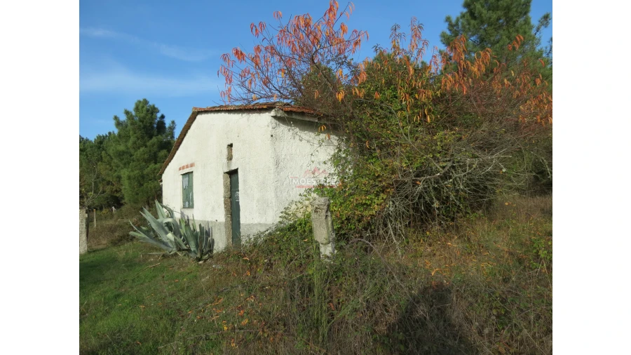 Quinta T0 para Venda em Pinhanços Foto 4