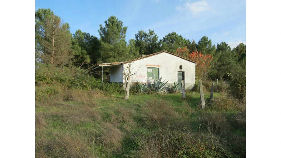Quinta T0 para Venda em Pinhanços Foto 3