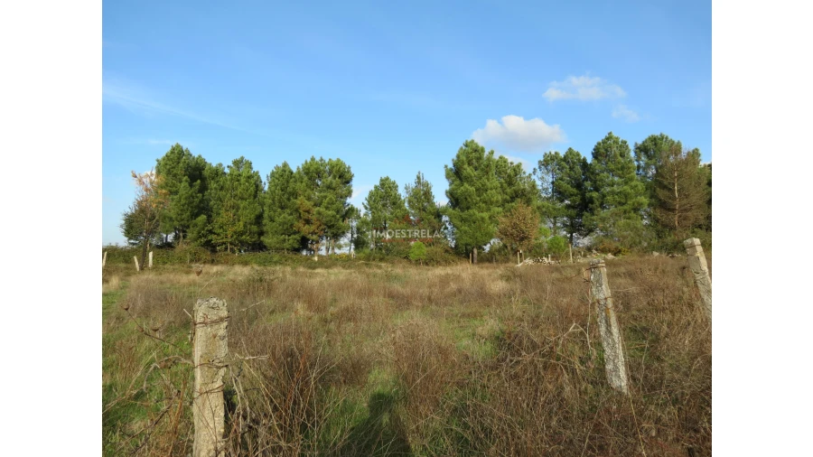 Quinta T0 para Venda em Pinhanços Foto 6