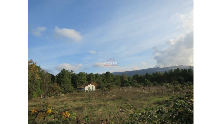 Quinta T0 para Venda em Pinhanços Foto 8