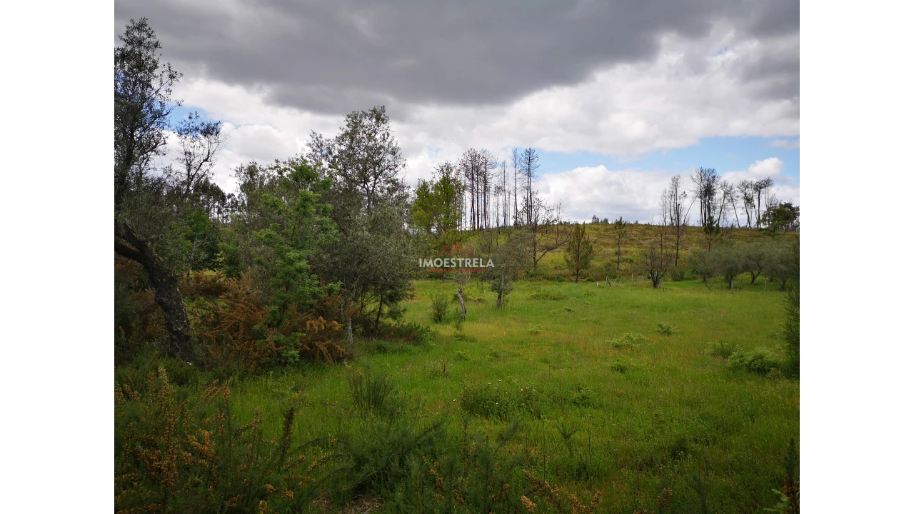 Terreno Agricola ou Rústico para Venda em Santiago Foto 4