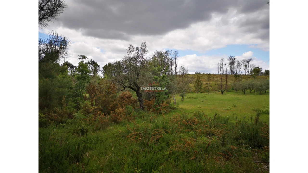 Terreno Agricola ou Rústico para Venda em Santiago Foto 1