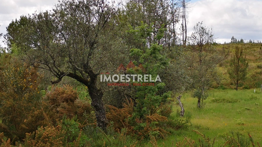 Terreno Agricola ou Rústico para Venda em Santiago