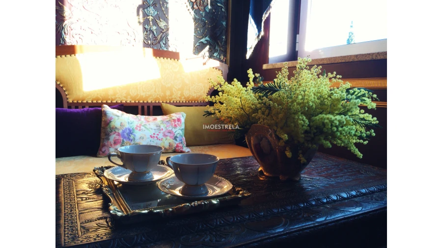 Negócio para Venda em Ervedal e Vila Franca da Beira Foto 13