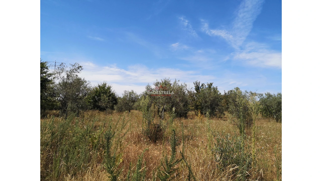 Terreno Agricola ou Rústico para Venda em Santiago Foto 6