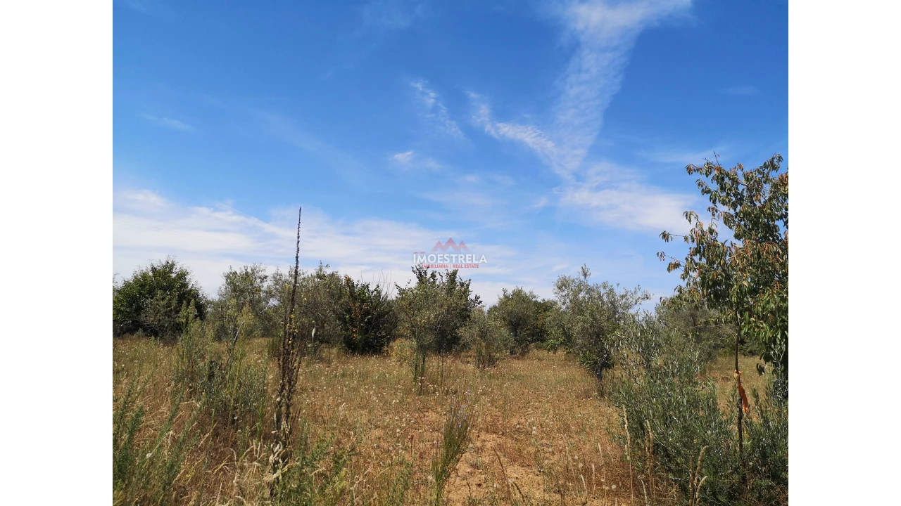 Terreno Agricola ou Rústico para Venda em Santiago Foto 5