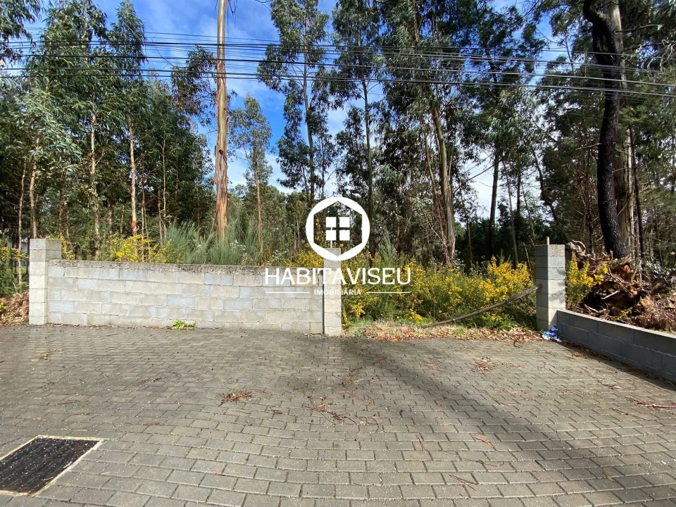 Terreno para Venda em Satão Foto 2