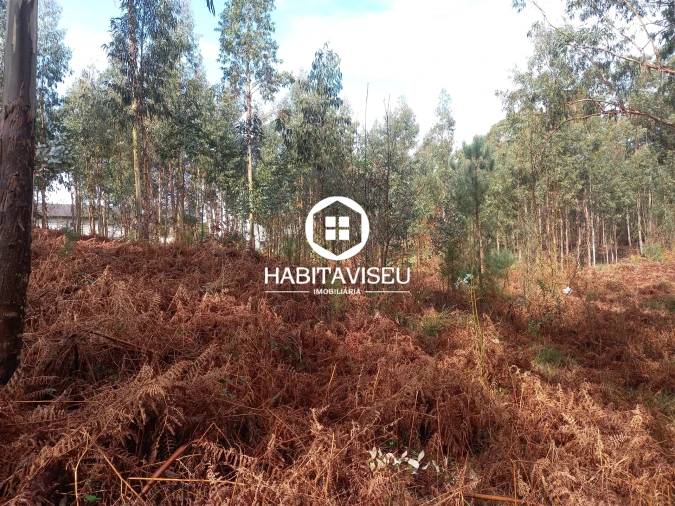 Terreno para Venda em Satão Foto 14