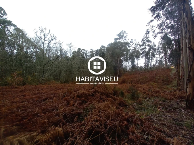 Terreno para Venda em Satão Foto 8