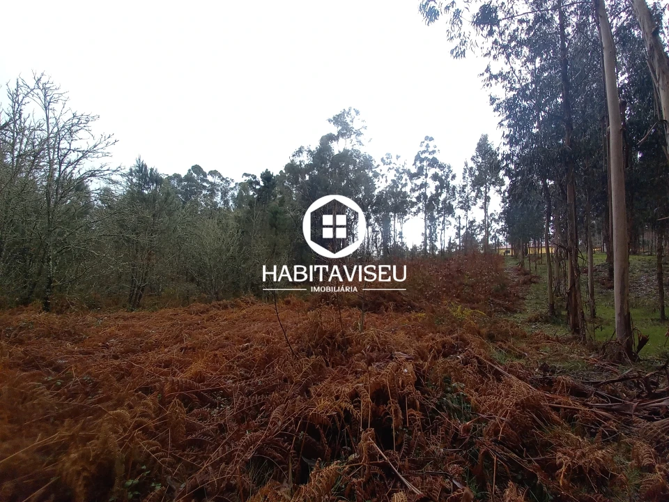 Terreno para Venda em Satão Foto 10