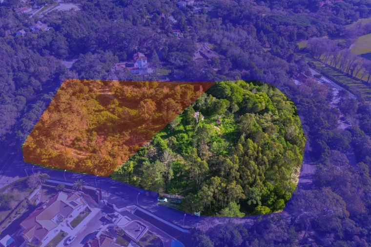 Terreno para Venda em Queluz e Belas Foto 7