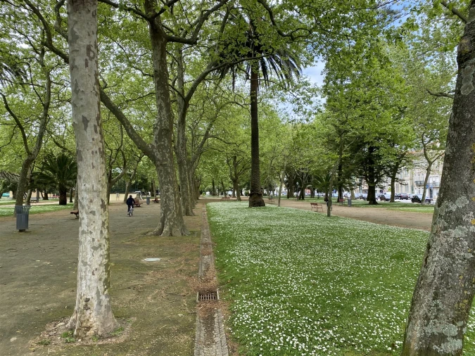 Apartamento T2 para Venda em Aldoar, Foz do Douro e Nevogilde Foto 22