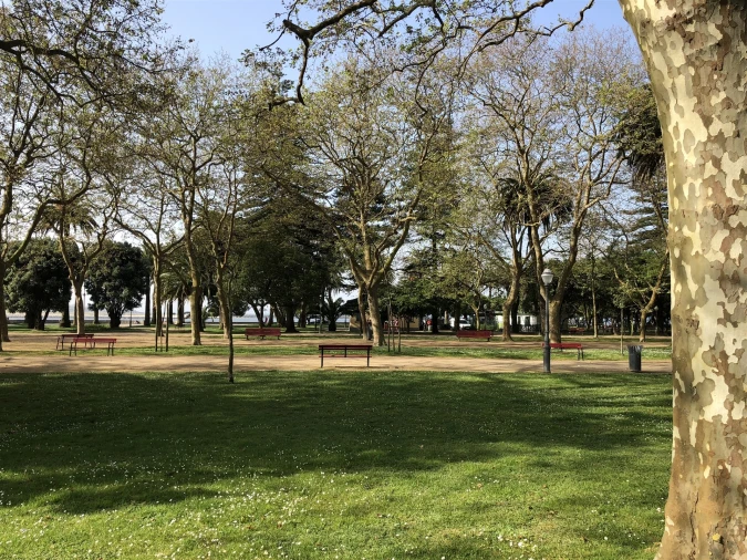 Apartamento T2 para Venda em Aldoar, Foz do Douro e Nevogilde Foto 21