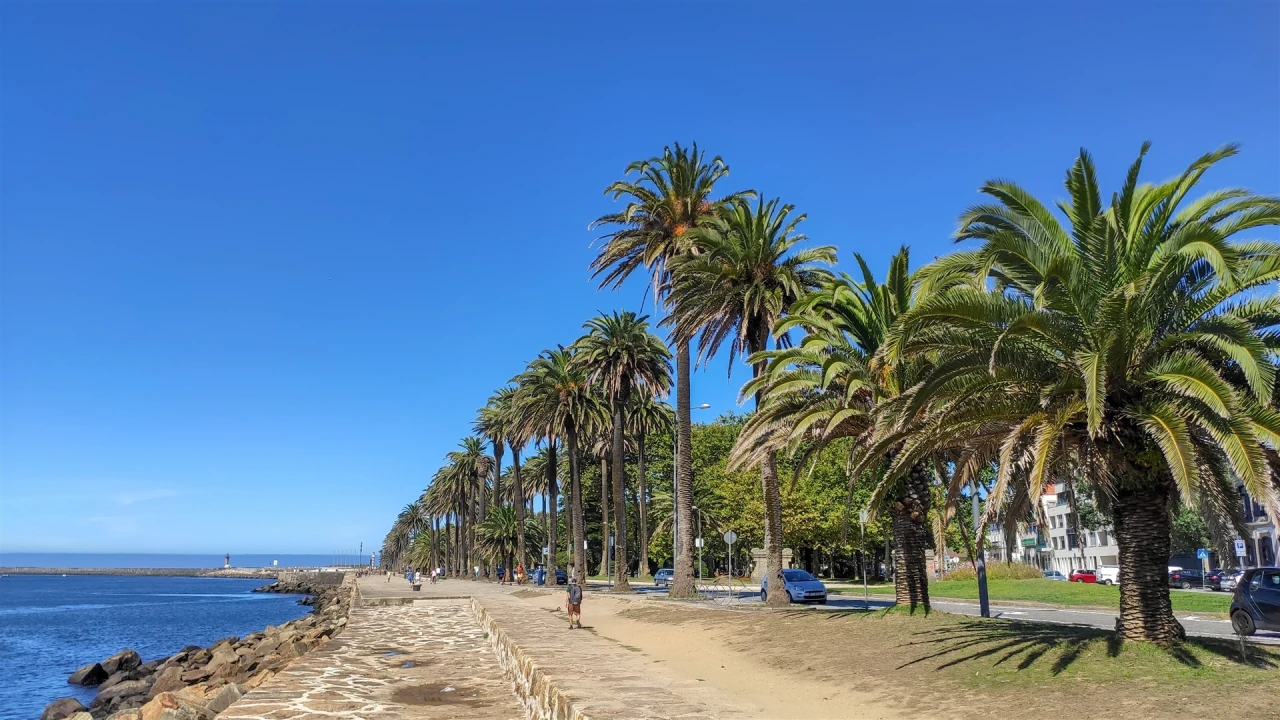 Apartamento T2 para Venda em Aldoar, Foz do Douro e Nevogilde Foto 19