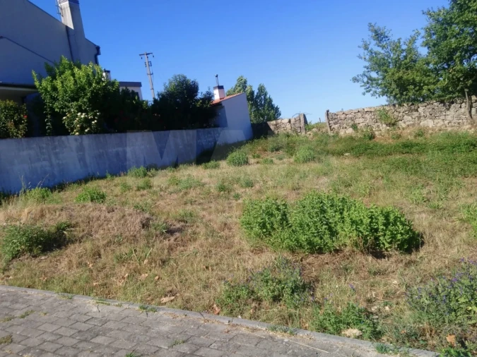 Terreno para Venda em Oliveira de Frades, Souto de Lafões e Sejães Foto 2