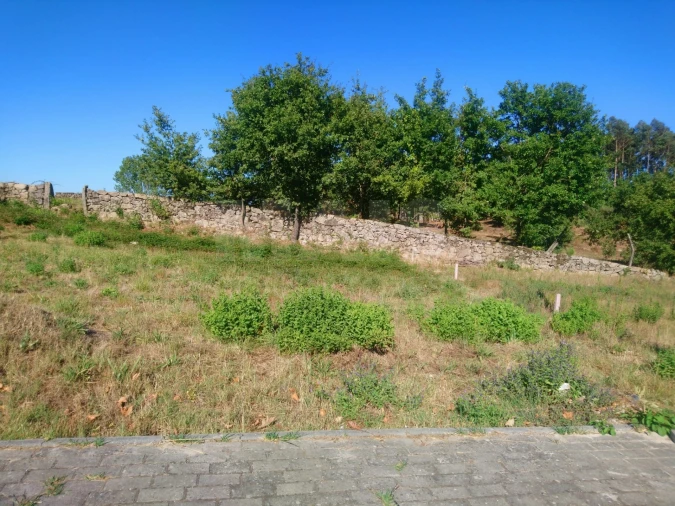 Terreno para Venda em Oliveira de Frades, Souto de Lafões e Sejães Foto 3