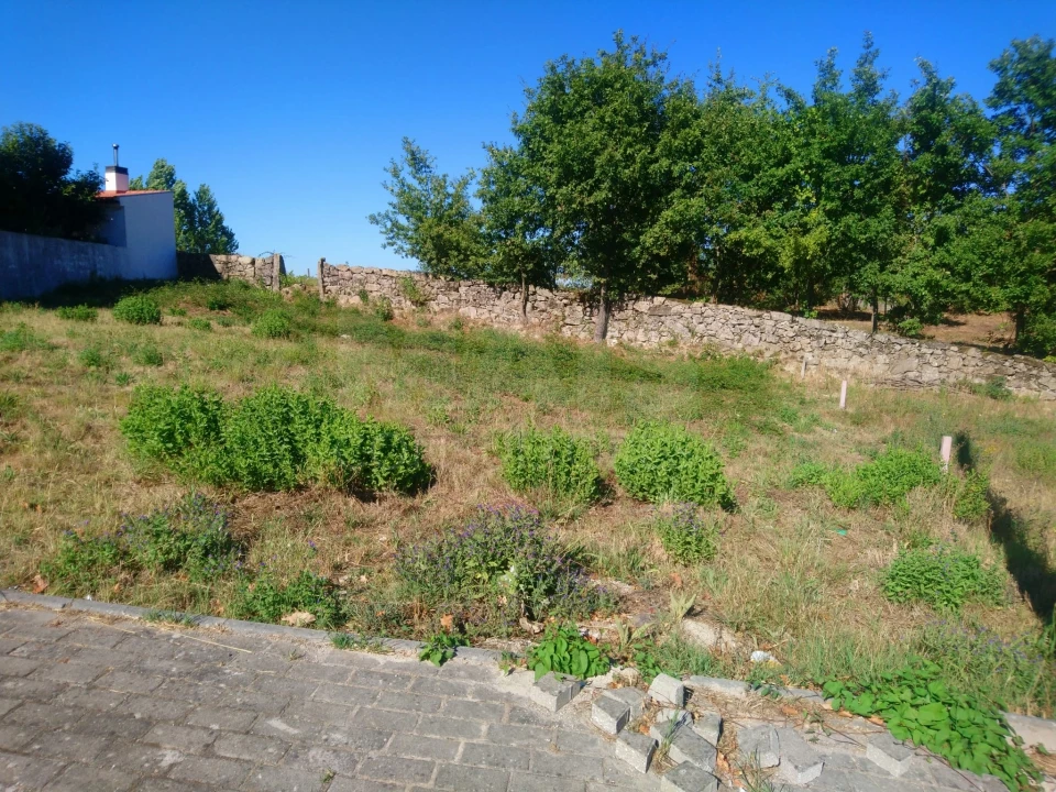 Terreno para Venda em Oliveira de Frades, Souto de Lafões e Sejães Foto 1