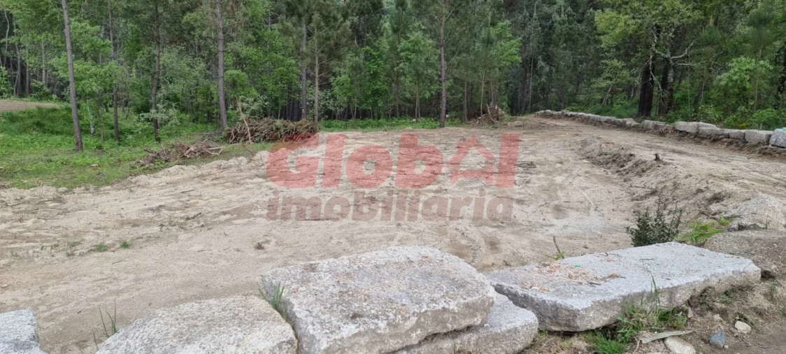 Terreno para Venda em Santos Evos Foto 3