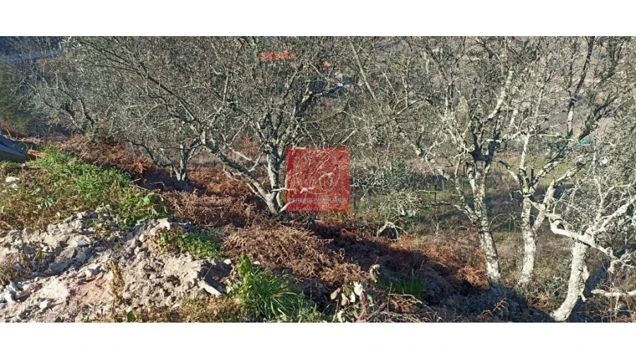 Terreno para Venda em Cambres Foto 4