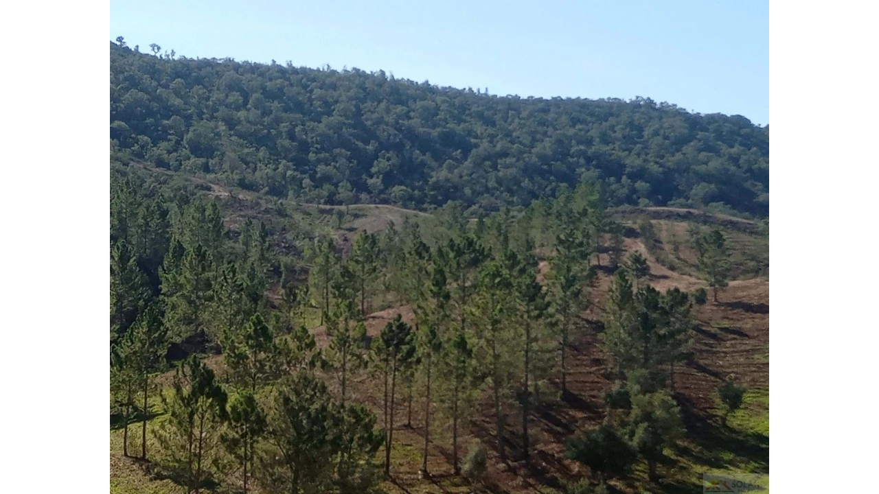 Quinta para Venda em São Marcos da Serra Foto 28