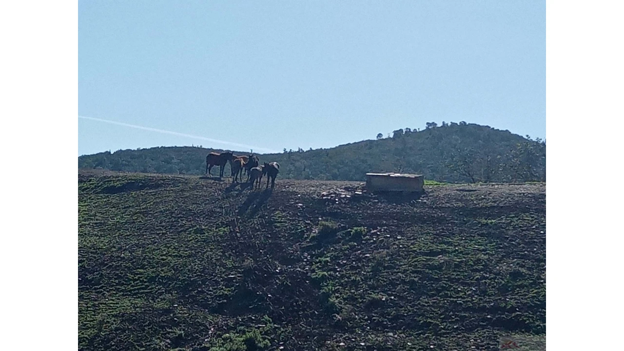 Quinta para Venda em São Marcos da Serra Foto 11