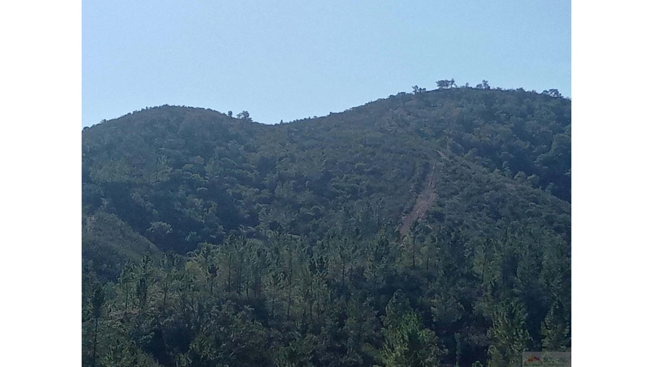 Quinta para Venda em São Marcos da Serra Foto 31