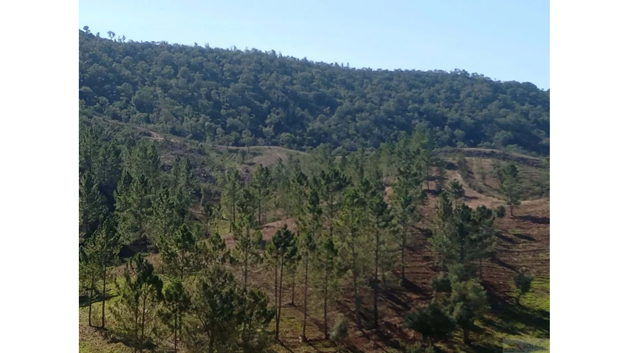 Quinta para Venda em São Marcos da Serra Foto 28